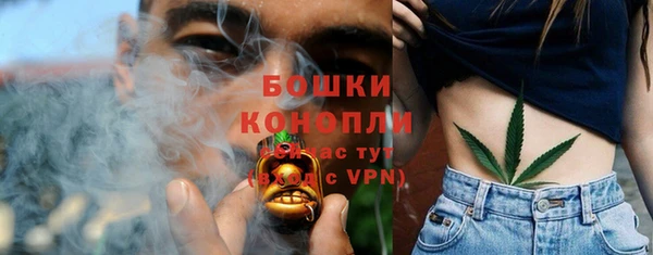 кристаллы Гусев