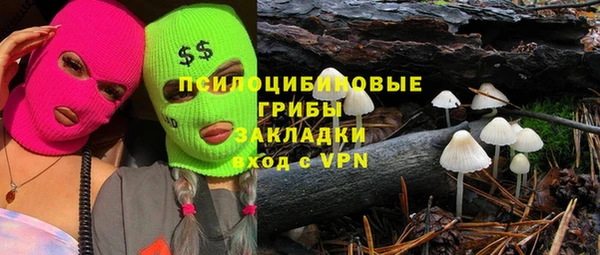 каннабис Гусиноозёрск